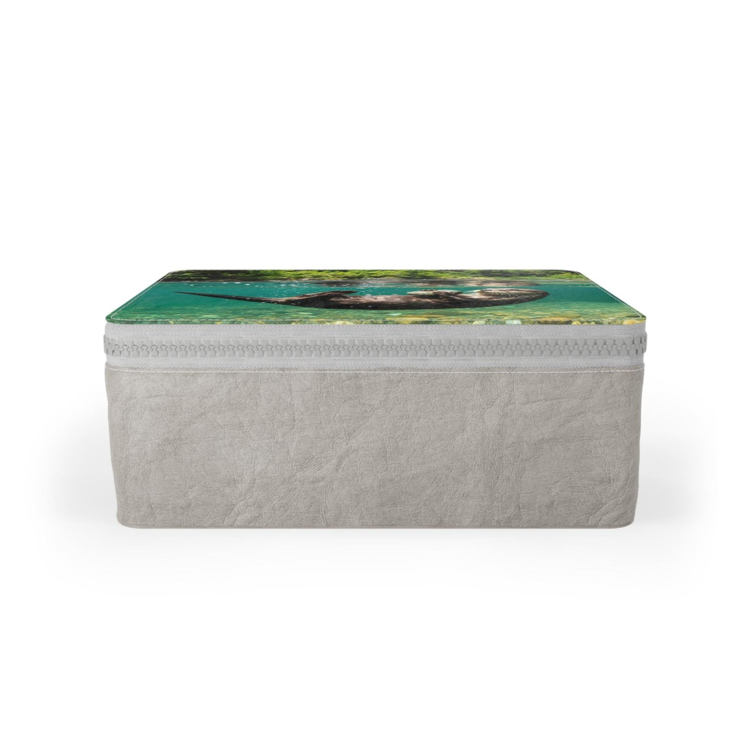 Reusable River Otter Bento Box – Eco Food Container, School Work Lunch Box