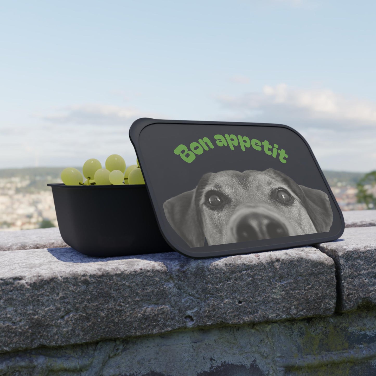 Bioplastic Bento Box: Reusable Eco Lunchware with Utensils - Dog Lover Gift